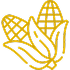Icon 5